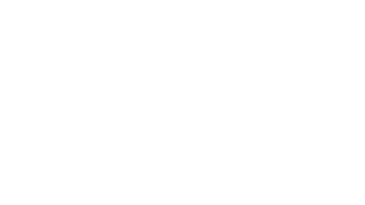 AIG