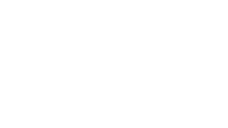 Liberty Mutual